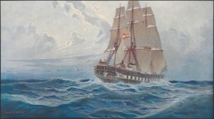 18991539.jpg